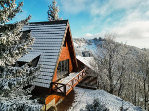 Vista Mountain House